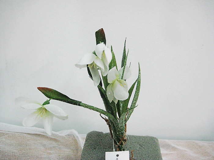3018538-41 - Μπουκέτο λουλούδια μικρό Γερμανίας 10Χ10Χ20   24 τεμ/κουτί Προσφορά -30%