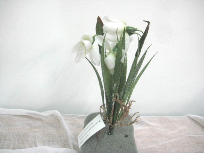 3018538-41 - Μπουκέτο λουλούδια παγωμένο μικρό Γερμανίας 10Χ10Χ20   24 τεμ/κουτί